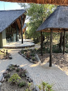 Pangolin Game Lodge place picture