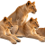 ChatGPT Image Sep 8, 2026, 09_15_40 AM